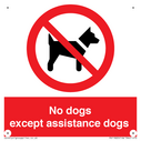 no-dogs-except-assistance-dogs~